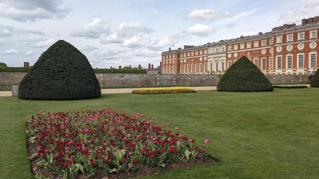 A well-kept lawn with two flower beds, one filled with red tulips in the foreground, and further back one with yellow tulips. Visible at the edge of the lawn are three large topiaried bushes, behind which is a gravel path. Futher back is an old brick wall, and in the background behind this is the vast Stuart facade of Hampton Court Palace, an imposing brick and stone structure. Also visible in the background are some chimneys from the older Tudor part of the palace.