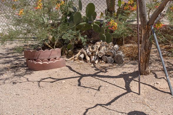 A random picture of my front yard. It's sandy/stony ground. There is a pile of decorative masonry, a pile of rotten firewood, a pile of sticks, a dead tree propped up with steel pipe that provides bird habitat, some bushes with red and yellow flowers and a big paddle cactus in the background. Somewhere in this visual mess is a lizard that blends in very well.