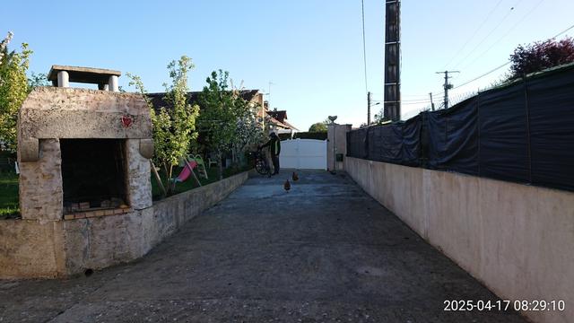 Cycliste et son vélo suivis par 2 poules dans la cour d'une maison ensolelliée