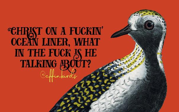 “Christ on a fuckin’ ocean liner, what the fuck is he talking about?” next to a drawing of a bird on a red background, from effinbirds.com