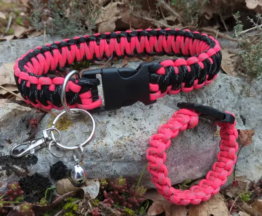 same, this time the collar is black and bright pink