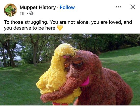 A post from another platform by Muppets History.  A picture of Big Bird and Snuffleupagus ‘hugging’ with closed eyes. The text above reads: To those struggling. You are not alone, you are loved, and you deserve to be here with a yellow heart emoji.