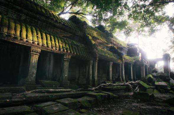 An ancient, intricately carved stone temple covered in moss is slowly devoured by tree roots. Other building blocks lay about haphazardly in the foreground hinting at the grandeur in the heyday.