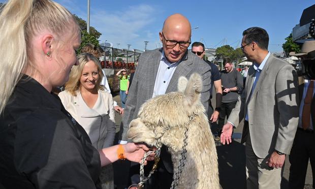Dutton visited the Sydney Royal Easter Show on Saturday morning and met Hephner the alpaca who last year sneezed on King Charles.