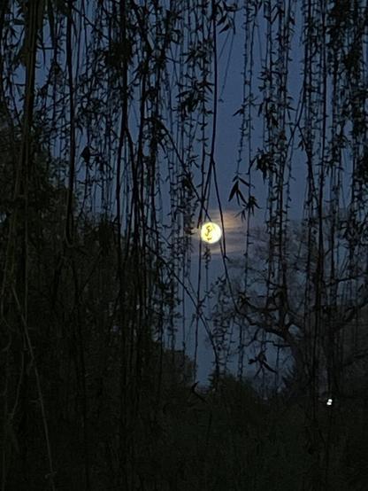 Full moon