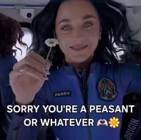 A picture of Katy Perry during her trip to space, holding a flower, looking at the camera. Text says: *Sorry you're a peasant or whatever*