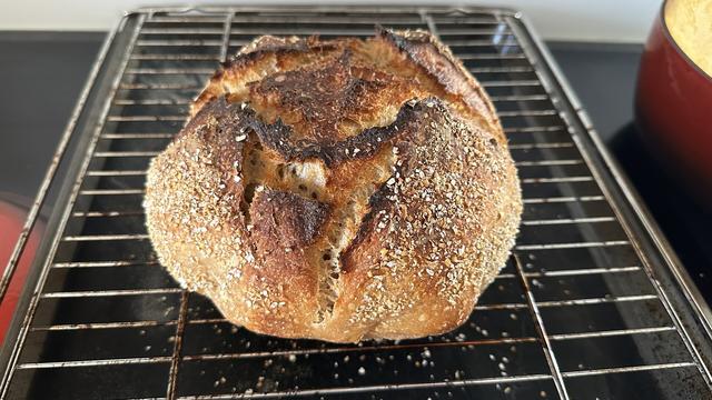 Ein rundes Brot liegt auf einem Backofenrost, der auf einem Backblech liegt. Das Brot ist kreuzweise eingeschnitten und an den dünnen Schnittkanten ziemlich dunkel gebräunt. Es ist mit Haferkleie bestreut.
Der Rost mit dem Brot steht auf einem Kochfeld, rechts daneben ist ein Stück des roten gusseisernen Topfes, in dem es gebacken wurde, zu sehen, links daneben ein Stück des ebenfalls roten Topfdeckels. Der Spritzschutz im Hintergrund ist mattweiß.