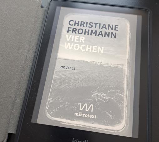 Buchcover auf eReader. (Die Leserin wirft ihren Kindle nicht weg, weil reiche Idioten im fernen Land alles Maß verloren haben.)