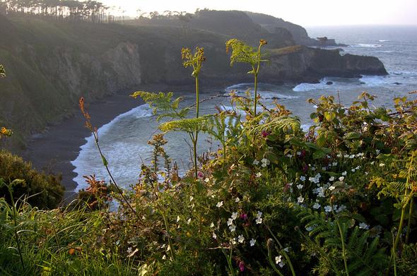 Unos acantilados se rinden a la mar en una playa de piedra menuda. Arriba, el variado matorral de zarzamora celebra la fista de la primavera en enmarañada junta, con los brotes y flores de tiernos felechos, vinagretas, cotoyas, brezos…