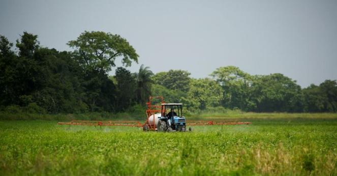 France: Un décret reconnaît les cancers de la prostate liés aux pesticides comme maladie professionnelle