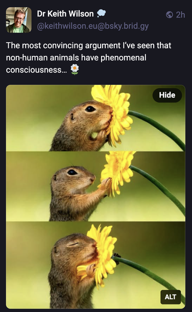 Screenshot of post from Dr. Keith Wilson, with text reading:

The most convincing argument I’ve seen that non-human animals have phenomenal consciousness…  [flower emoji]

And picture alt-text reading:

Three pictures of a squirrel smelling a flower. First it sniffs in the centre. Then it holds the flower at arms length. Finally it holds the flower close with its eyes closed. Photo credit: Dick Van Duijn.