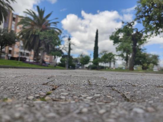 foto a ras del suelo del parque, al fondo se ven árboles y edificios. También un poco de cielo y nubes