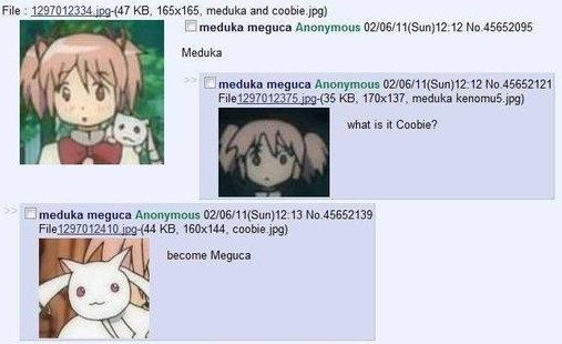 meduka become meguca