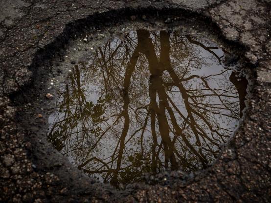 Reflection of a tree in a round hole in asphalt.