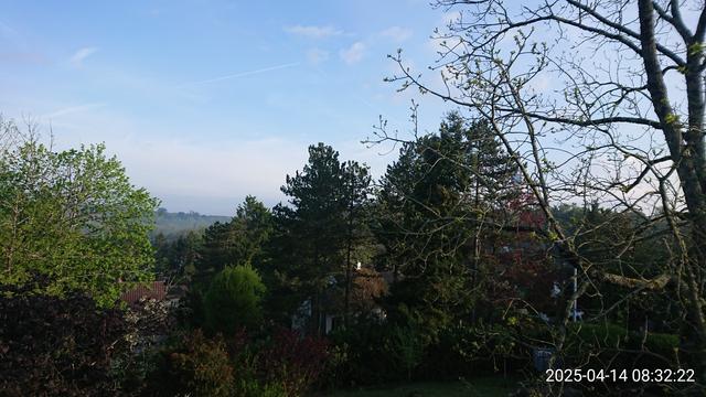 Vue sur la vallée du Clain le matin au sud de Poitiers, avec moult arbres de tous les verts possibles du premier à l'arrière plan
