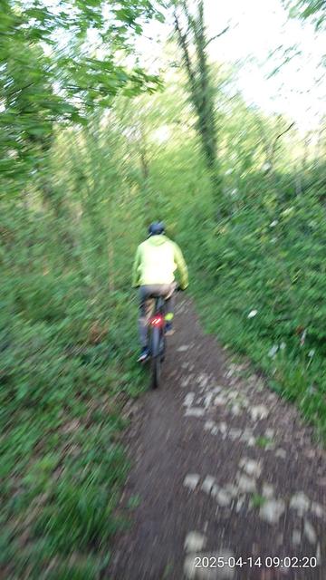 Sentier arboré CR1 à vélo entre Smarves et Saint-Benoît, guidé par mon hôte