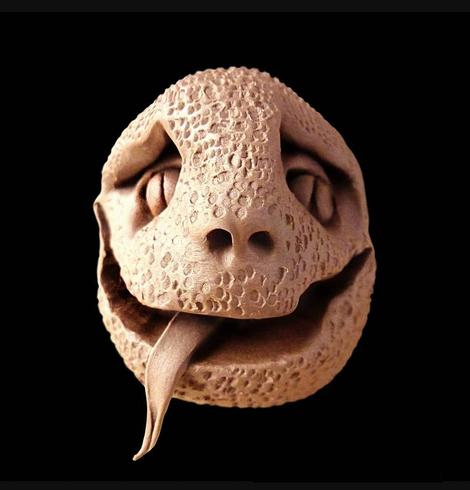 The image shows a close-up of a sculptural artwork resembling a snake or serpent head. It appears to be made of clay or similar material with a beige/light brown color. The sculpture features textured, porous skin with small bumps covering much of the surface, two nostril openings, visible eye indentations, and a protruding tongue. The piece is displayed against a black background that highlights its detailed organic form and contours.