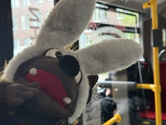 Gaston mit Hasenohren im Bus zu den Landungsbrücken