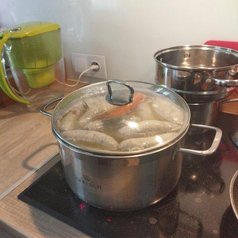 Gar na kuchence indukcyjnej, wypełniony po brzegi, przykryty pokrywką. W środku widać niepokrojoną białą kiełbasę i wystaje jedna marchewka.