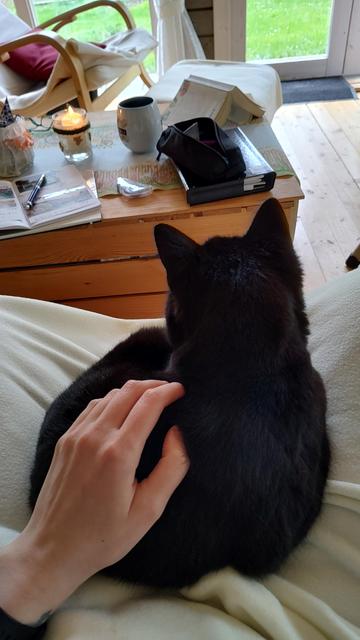 Foto einer schwarzen Katze, welche es sich auf meinem Schoß gemütlich gemacht hat. Auf ihrem Rücken ruht meine Hand. Im Hintergrund ist das innere eines Gartenhauses zu sehen. Auf dem Tisch vor mir liegen Stifte und Schreibheft.