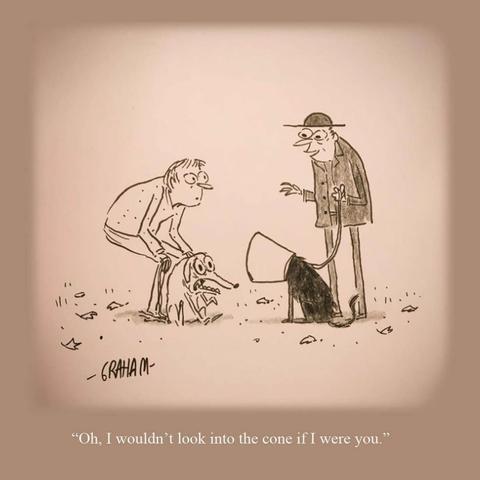 A cartoon illustration of a man and his horrified dog looking into another dog's cone while the owner talks to them. Caption reads "Oh, I wouldn't look into the cone if I were you."