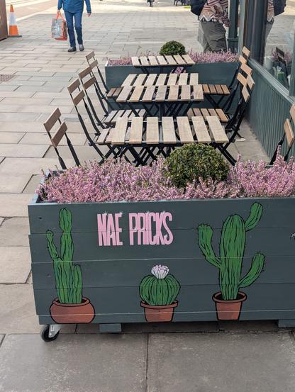 Planter separating off some outdoor seating for Seb's Urban Jungle on Leith Walk - which has the phrase "NAE PRICKS" and cactii painted on it