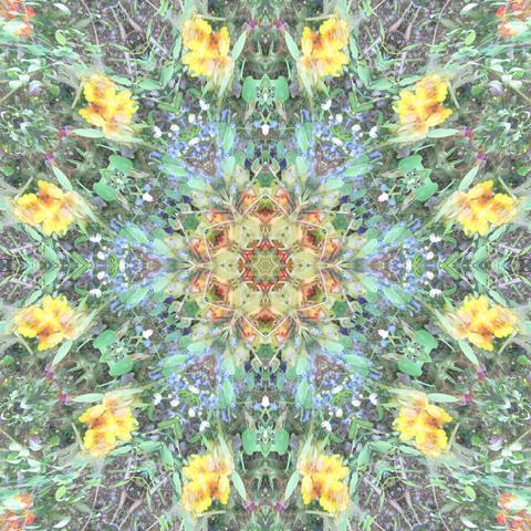 Mandalas from different spring flower pictures mixed together.
