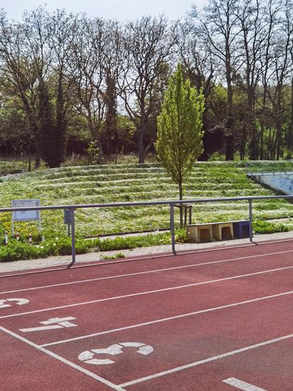 Im Vordergrund der Anfang von roten Laufbahnen mit Zahlen. Nach einem grauen Stahlgeländer ein stufig aufgeschütteter Hügel zum Sitzen. Der ganze Hügel ist bewachsen mit Gras, Gänseblümchen und Löwenzahn.