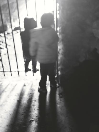 Two children in front of a large gate, backlit and blurred