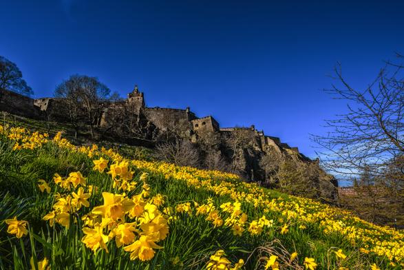 Schloss Edinburgh im Frühling mit einer Blumenwiese im Vordergrund.