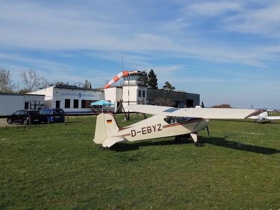 Sperling am Flugplatz Bad Windsheim
