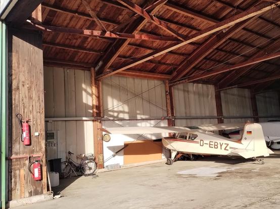 Sperling in der Halle in Herzogenaurach