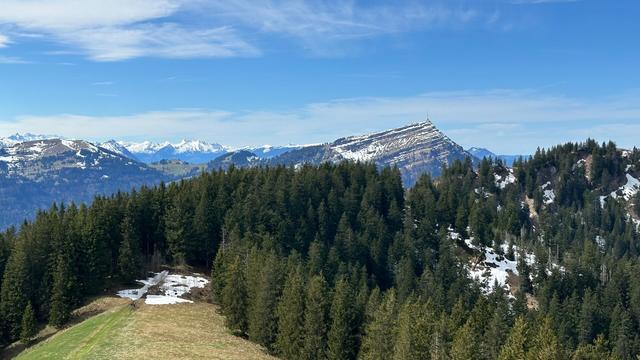 View of Mt Rigi with forested hill (interspersed with a few remaining spots of snow) in the foreground. Sky is blue with some clouds.