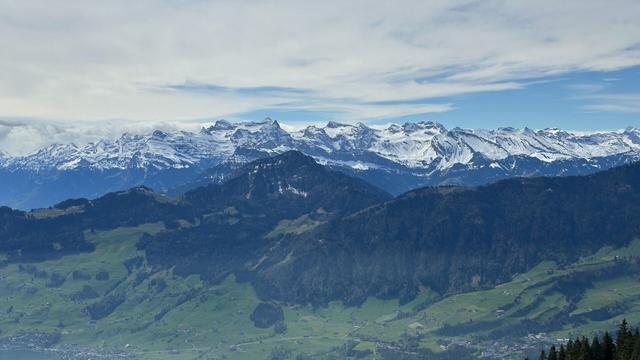 View of green valley and forested hills with snow-capped Swiss Alps in the distance under a mostly cloudy sky.