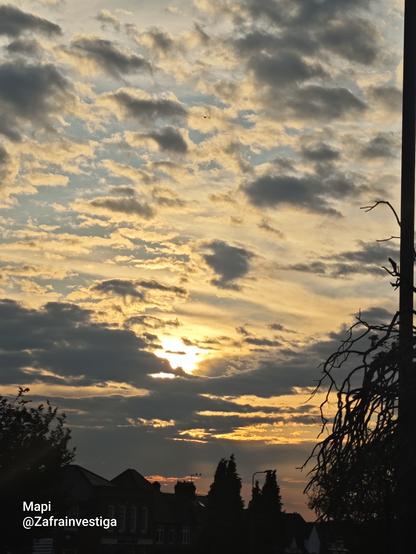 Oxford 
19Abril de 2025 a las 18:32h
