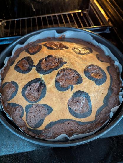 In der offenen Ofentür steht der fertig gebackene Kuchen immer noch in seiner runden Form auf dem Backblech.
Er hat einen Kakao-braunen Rand, der mit einer schwarzen Linie von der goldbraunen Küchenoberfläche abgegrenzt ist. Weitere Leopardenflecken zieren die Oberfläche.
