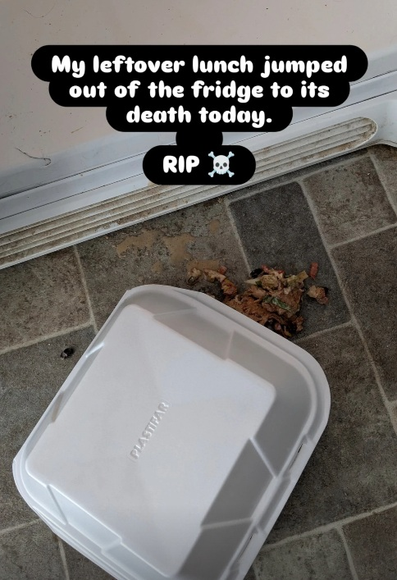Leftover meal in a styrofoam container landing upside down on the floor.

Photo caption: "My leftover lunch jumped out of the fridge to its death today"