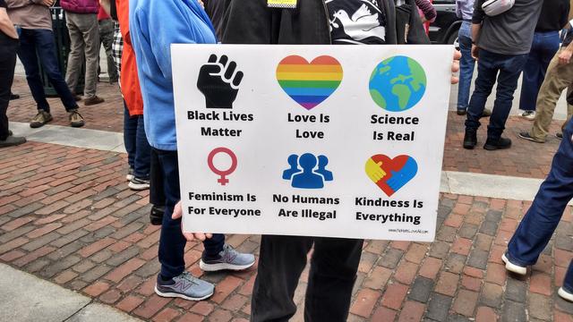 A person wearing a black t-shirt with a white peace dove, holds up a sign at a rally.

The sign has six different symbols:
1. A black fist (Black Lives Matter)
2. A heart with rainbow stripes (Love is Love)
3. An illustration of the planet Earth (Science is Real)
4. A female symbol (Feminism is for Everyone)
5. Silhouette of three people (No Humans are Illegal)
6. A heart with hugging yellow and blue hands (Kindness is Everything)
