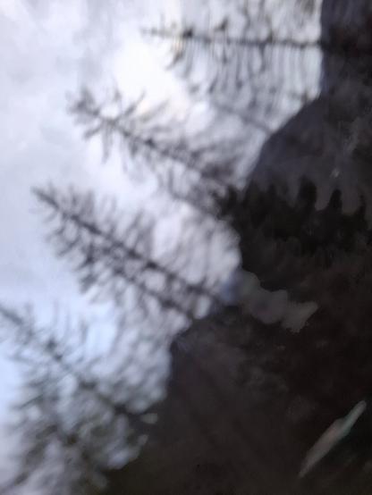 Dark scene showing dead spruce trees and mountain landscape in the background.