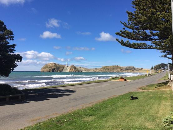 A colour photo of a road next to the sea. The road has some car parks and in the background is a large rocky promontory with a lighthouse clearly visible. The sky is mostly clear and there are a number of white puffy clouds. There are waves with white caps right by the shoreline. There are also lawns visible from holiday homes off to the left and out of shot. On one by the roadside, a dog is sitting, watching the world go by.