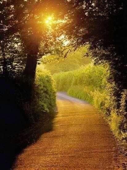 Picture of a winding road heading into a golden sunrise.