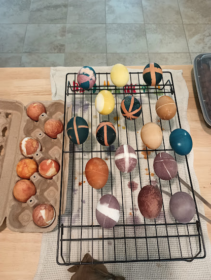 Dyed eggs in a carton and one a cooling rack. They are a mix of colors and some have lines on them left by electrical tape or rubber bands that have since been removed. Yellow and red onion skins resulted in mottled yellow brown and reddish brown colors. Turmeric produced bright light yellow. Red cabbage made dark teal blue. Red grape juice made a dull purple. Cayenne made a disappointing brown-orange that is almost what a brown egg would've looked like undyed.