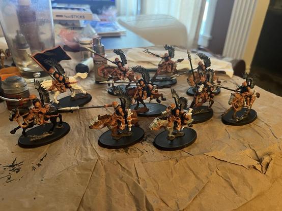 Warhammer 40K Miniatures. 

From Victoria Miniatures.

10 Winged Hussar style rough riders. Black uniforms with orange boots, gloves, helmets, and accessories. Mostly painted, plenty of detail work to be done.