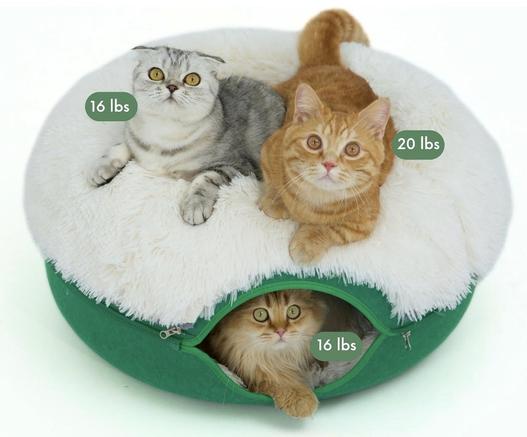 A cat bed with one cat in it and two on it.