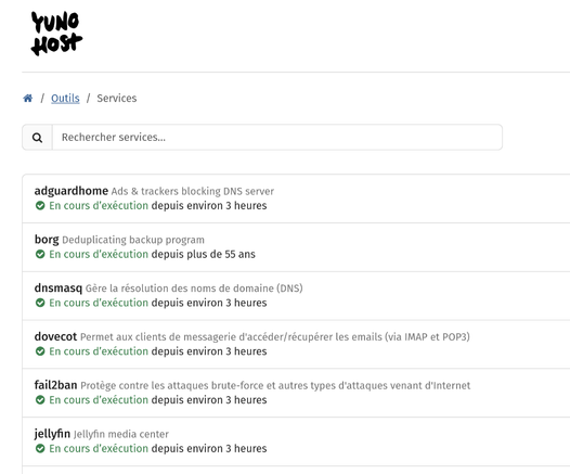 Une capture d"écran de l'interface d'administration des services en cours d’exécution d'une instance de yunohost (yunohost.org).
Un bug d'affichage fait que le service borg (un logiciel permettant de faire des sauvegardes) est censé être en cours d'exécution depuis 55 ans...