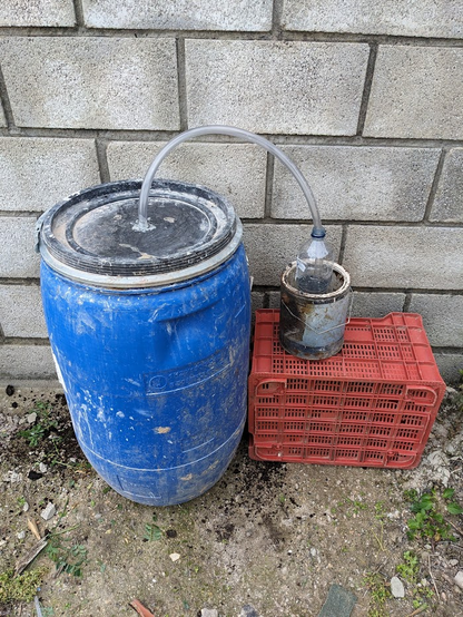 Foto del bidó de plàstic amb la tapa posada, i un tub que ix de dalt i desemboca a una botella de plàstic amb aigua. D'esta manera s'evita que entre oxígen dins del bidó.