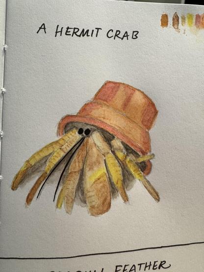 A watercolor illustration depicts a hermit crab with a plastic pot as a shell.
