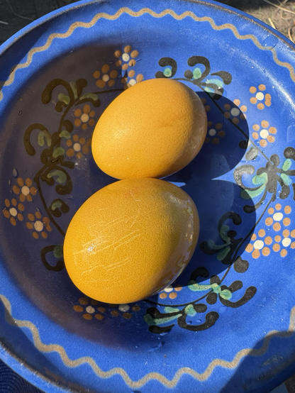 Foto Ostereier mit rote Zwiebelschale gefärbt