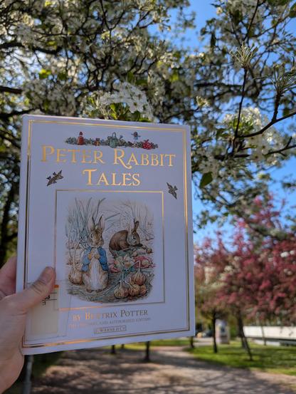 Holding the book "Peter Rabbit Tales" with 5 tales on rabbits & bunnies by Beatrix Potter in front of a blossoming tree