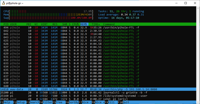 Screenshot of “htop” in a console with my program highlighted; resource usage says 12.7% memory and 1.3% CPU for this process